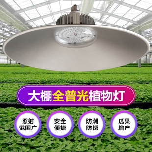 LED Plant Growth Light Full Spectrum High Power Greenhouse Greenhouse Vegetable Indoor Balcony Fleshy Planting Light