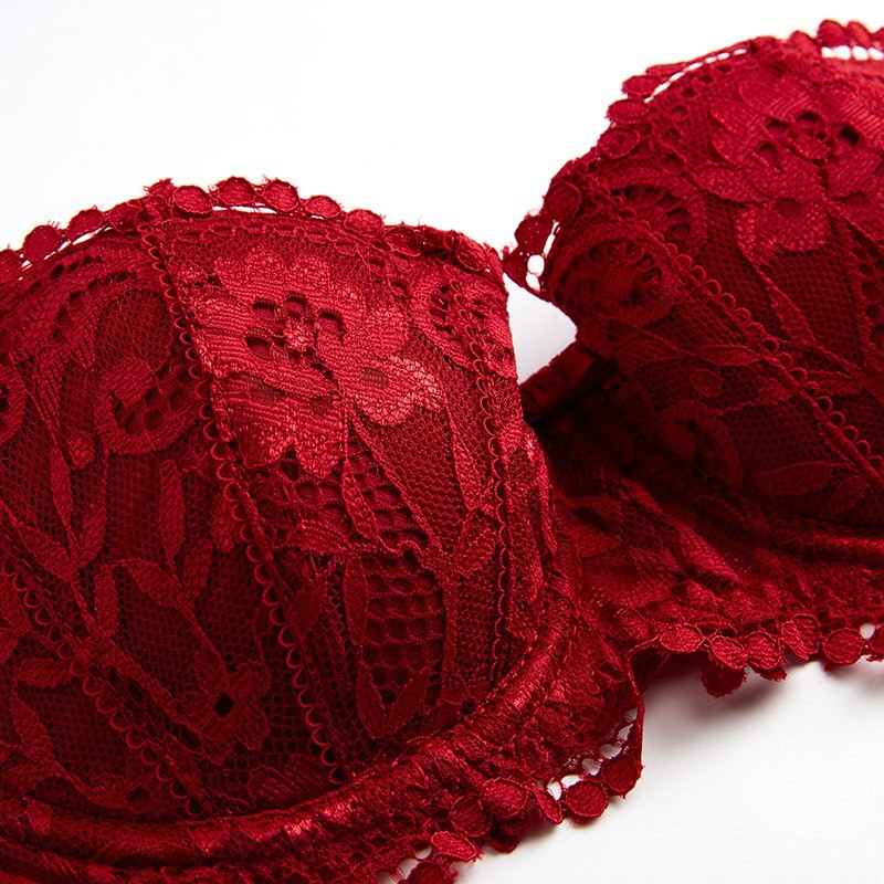 Factory Wholesale European and American Sexy 1/2 Half Cup Court Vine Embroidered Lace Bra Set for Women 