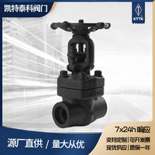 �䓽z���l�yZ61Y�ք����l�y�͸ߜ��͸߉����������ͳв庸�l�y