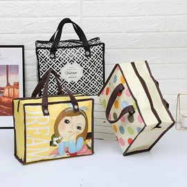 无纺布袋;收纳袋收纳包;家用购物袋