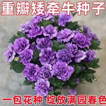 �ذ갫��ţ�N�ӾG���Gֲ�r���@ˇ���Ј������ϾW�t���ͺ�������