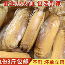 ʮ��𒵤�|�خa�|���r��Ұ��С�����p�^�|��͘���|�����|�oɳ��