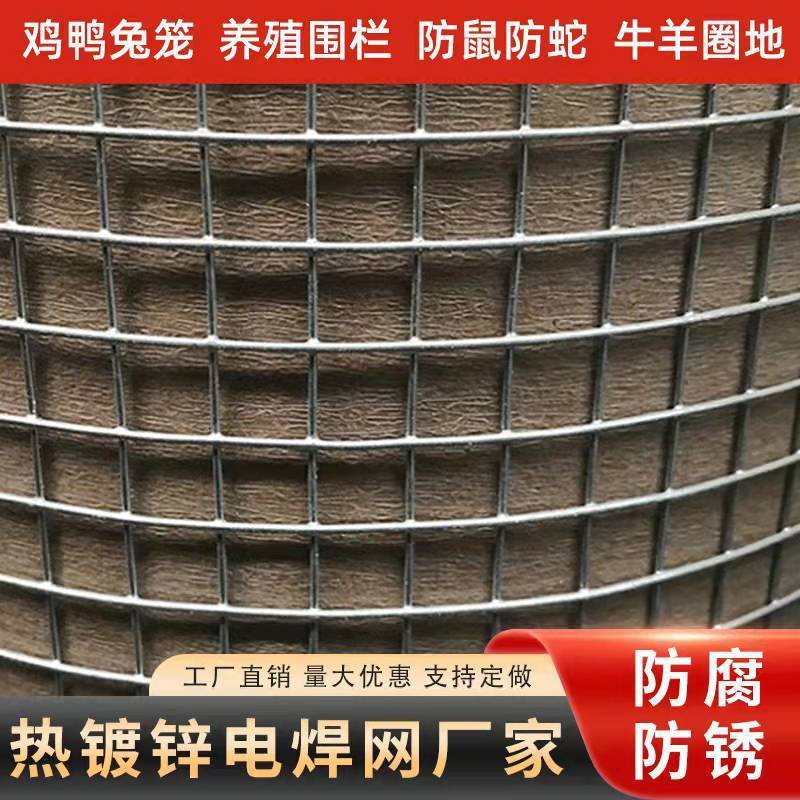 镀锌铁丝网片电焊网小孔建筑网格笼子加粗防护钢丝网货架铁丝网片