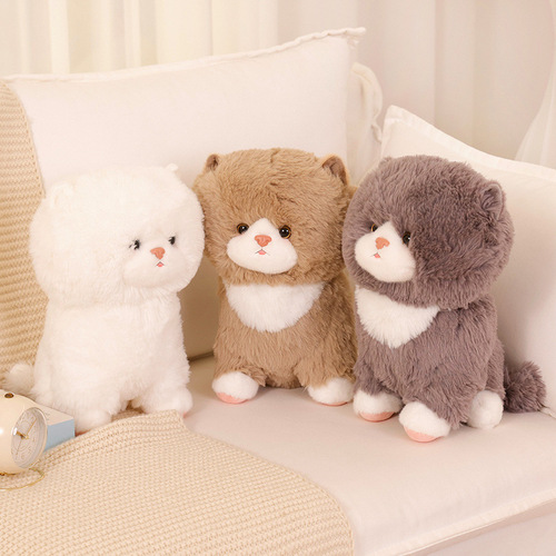 Cute Cartoon Cat Doll Plush Toy Kitten Doll Doll Creative Rag Doll Birthday Gift Wholesale