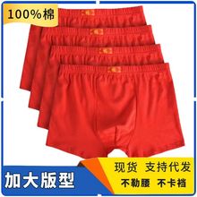 源头厂家男士内裤纯棉大红本命年纯色男平角裤透气四角宽松裤头