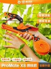 �������ѽ�֦�C���t���������S����֦���ٙC���Ѱ�֦�C��֦����