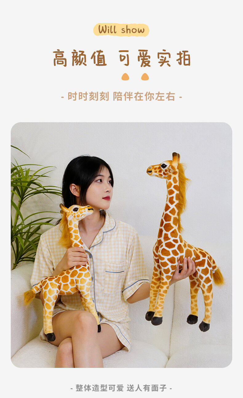 详情图