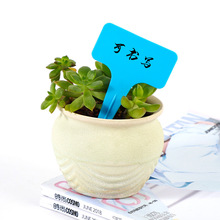 ✅二代园艺标签多肉植物塑料记号牌加厚防水园艺用品花卉标签插地