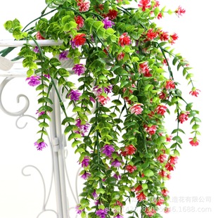 ���R�d�羳���컨���������ȼ����軨�ٗl�ڒ�ɏ�������b�