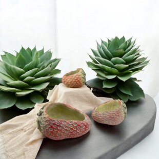 ������@�Lˮ�໨��ɐ۲�ݮ΢���^���@�b���Gֲ����YƷ�[��