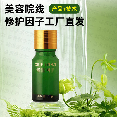 Beauty Repair Factor Repair Ice crystals Cold gel Repair technology Professional Line product sample