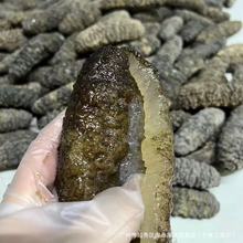 南美靴参荔枝参淡干野生海参干货南美参螺纹参猪婆参赤参酒店水发