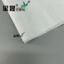 �S�ҹ���ճ���r�����l����1.5�ןo�����r���b�o��