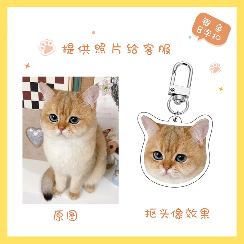 Pet Keychain Custom Acrylic Photo Key Pendant Cat Dog Hanging Souvenir Transparent Key Chain