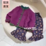 韩国新款宝宝女童开衫