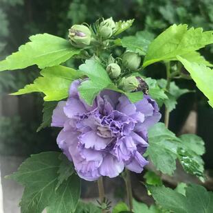 �¿�ʳ�ô�ľ�Ȼ������ذ�ľ�ȑ��������ͺ��ֲ̨�ﻨ��ͥԺ