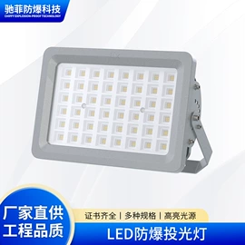 防爆灯;荧光灯;投光灯