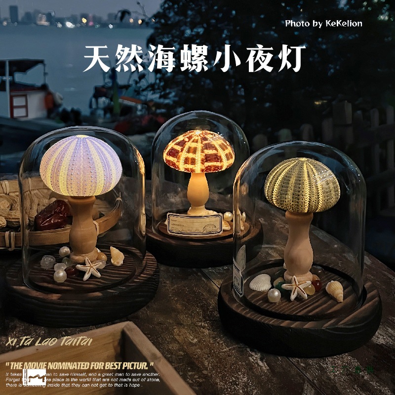 成品海螺小夜灯生日中秋节礼物贝壳海胆灯手工材料包活动沙龙