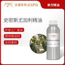 史密斯尤加利精油 Eucalyptus Smithii 澳大利亚产地直采原料批发