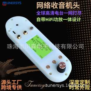 Malaysia Speaker Upgrade Hifi Radio Board Audio Control Board Wifi Network Radio Module