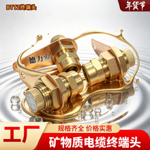 BTTVZ��|�^ �V���|��|�^ BTTZ��|�^������|������|�^4x10mm2