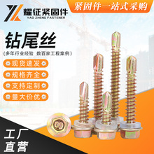 ���Ƿ��m���Թ��ݽz���F�����β�Թ������A˾�β�ݽz������