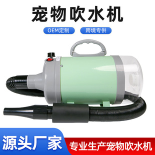 European and American Popular Green Pet Hair Dryer Pet Household Hair Dryer Dog Household Hair Dryer Manufacturer Direct Sales