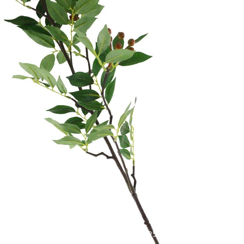 XRB-251 赤楠叶叶三叉0.95米   (1).jpg