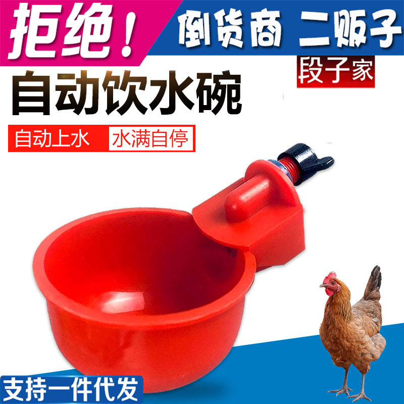 鸡鸭饮水器新型饮水碗塑料鹌鹑喝水碗自动喂水槽家禽设备厂家外贸