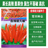 Changfeng spicy Chaotian pepper seeds high -resistant spicy spicy pepper seed seed manufacturers wholesale cluster Chaotian pepper vegetable seeds