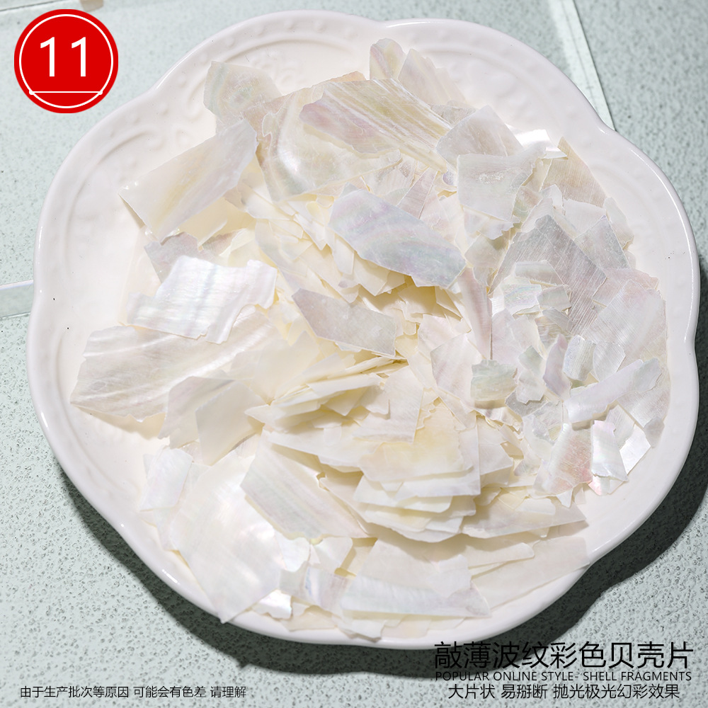 큰 조개껍데기 (색상 11)