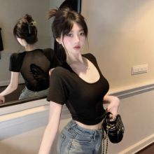 纯欲风性感辣妹露背短款小众上衣女夏季后背蝴蝶短袖绝美网纱小衫