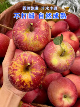 2025新鲜大凉山丑苹果10斤冰糖心苹果水果当季整箱盐源四川红富