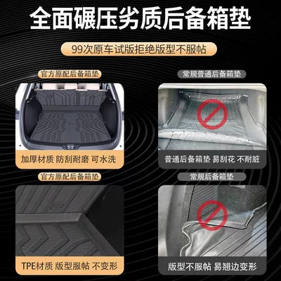 Suitable for Byd Song Pro | Trunk Mat