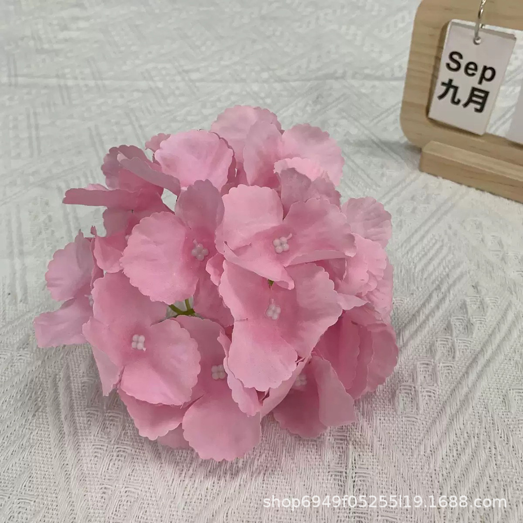 보라색 분홍색