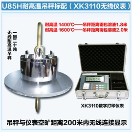 吊秤;蓄电池;显示仪表