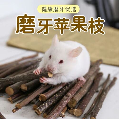 Wholesale hamster teething sticks rabbit stone gold wire bear guinea pig chinchilla squirrel supplies rabbit snacks apple branches