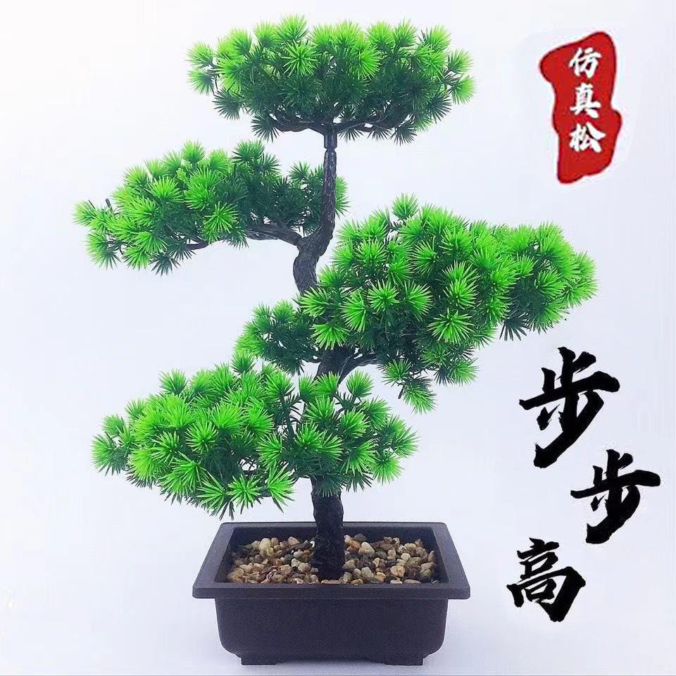 simulation Welcome Song Artificial flower Potted plant Evergreen Plastic bonsai Pine indoor Green decorate desktop Decoration