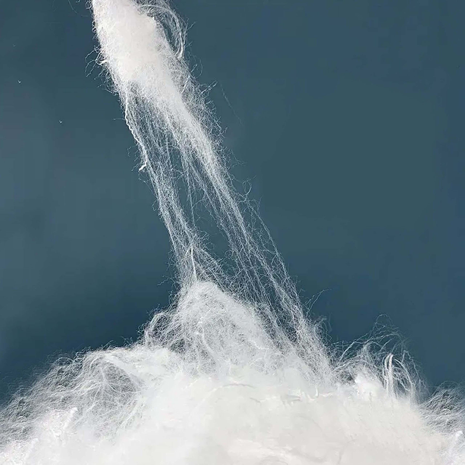 Pink Adults_ Kids-05.jpg