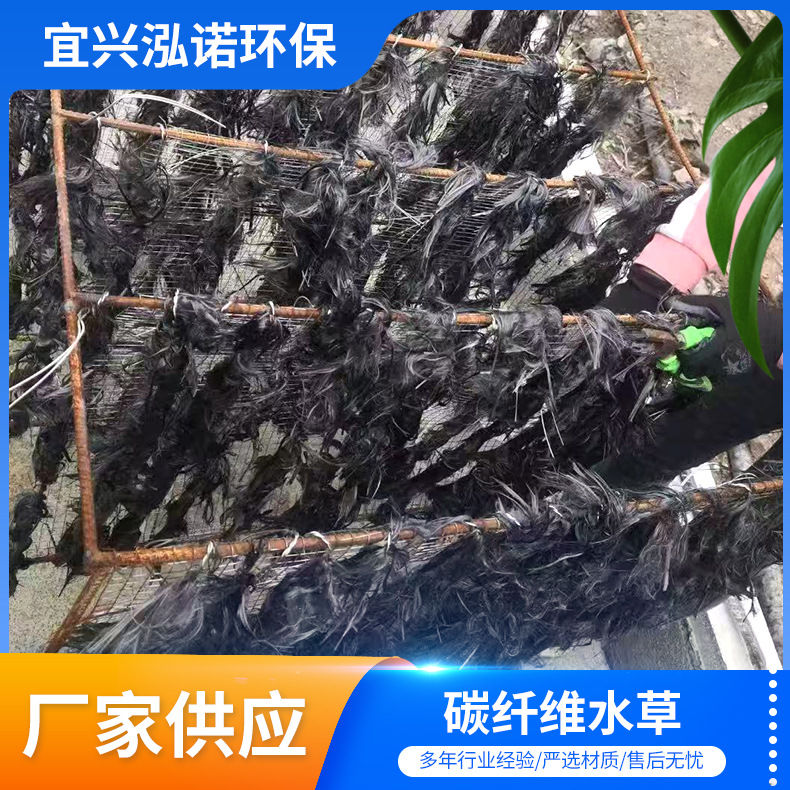 不锈钢的碳纤维水草碳素纤维生态草净化水质大附着率生态人工水草