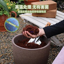 ��KҬ�u�I�B���B��ͨ���ͷN�ˉ��sÓ�}Ҭ������Ҭ���Nֲ����