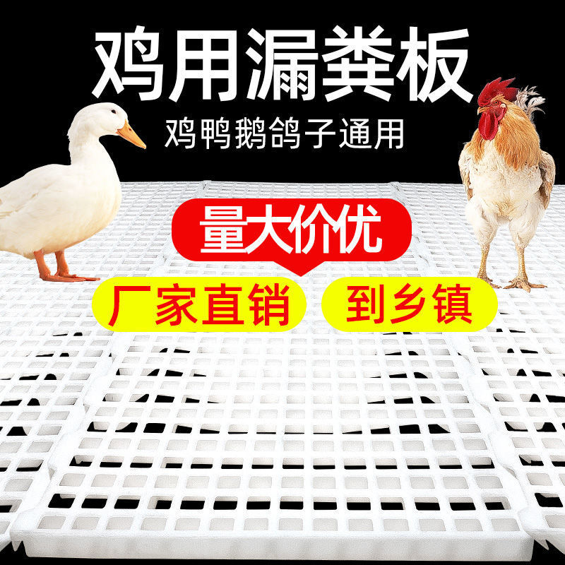 鸡用漏粪板 雏鸡鸭鹅加厚塑料接粪板禽用漏缝板鸡舍养殖设备