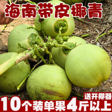 海南椰子文昌带皮椰青新鲜天然椰汁孕妇嫩大椰子蛋10个装当季水果