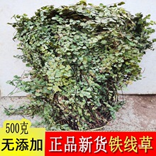 Ұɽ�i�ײ� �F���� ˮ�ië�� �ië�� �F�z�� 500g���]��؛��؛