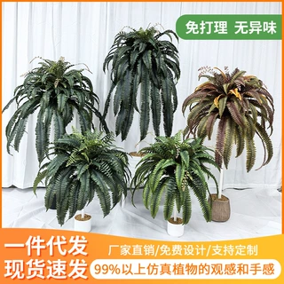 跨境仿真绿植波士顿蕨类橱窗装饰造景摆设仿真绿植尖尾波斯草定制