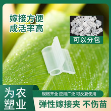 圆口大棚蔬菜嫁接夹子黄瓜西瓜苗叶仙蟹爪兰嫁接专用塑料夹子