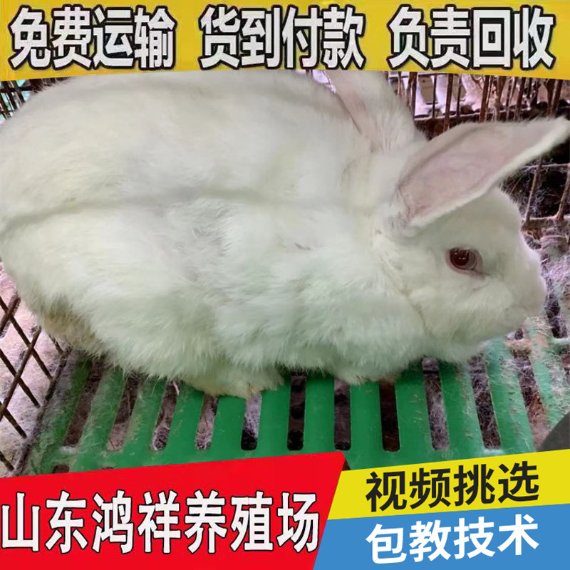 conew_u=1476902627,4024813595&