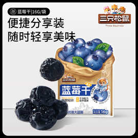 【三只松鼠蓝莓干16g】果干果脯蜜饯零食小吃开胃