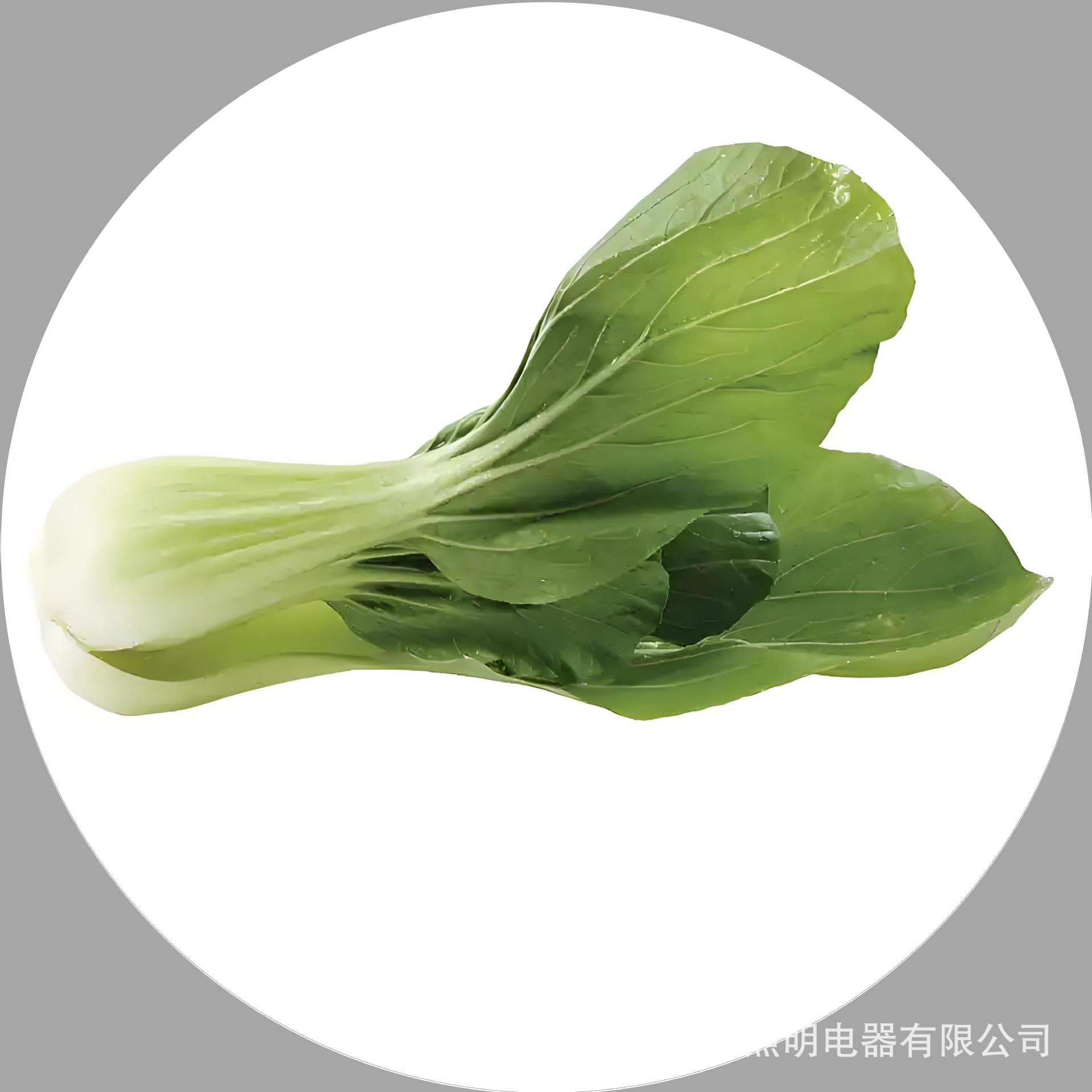 Vegetales y frutas patrón supermercado luces especiales frescas tienda de frutas decoración luces de forma especial tienda por departamentos luces súper industriales