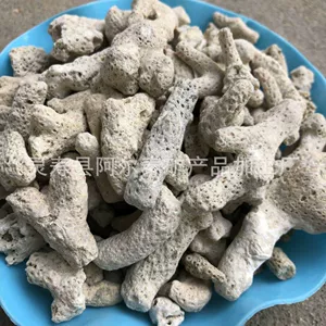 Коралловый фильтр, декор для аквариума